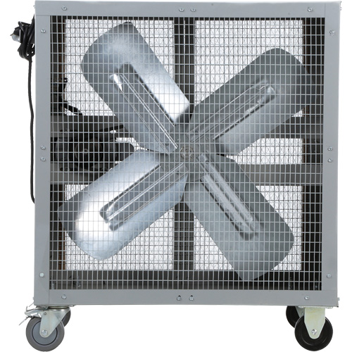 Direct Drive Heavy-Duty Mobile Filtered Fan, Type, Industrial, No. of Speeds, 2, Fan Dia., 36", CFM High, 4463