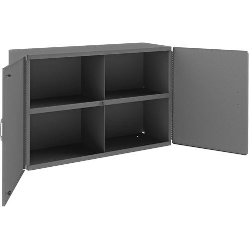 Wall-Mountable Cabinet, Each, 24", Width, 33-13/16", Depth, 12-3/8", No. of Shelves, 1, Colour