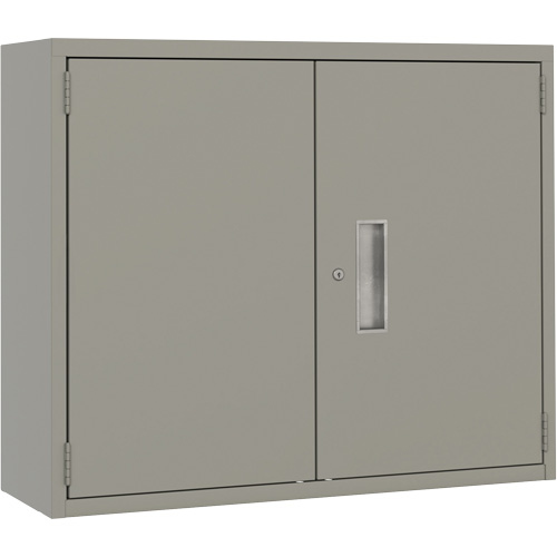 Wall Mounted Cabinet, Height, 30", Width, 36", Depth, 12", No. of Shelves, 2, Top Gauge, 20, Gauge, 22
