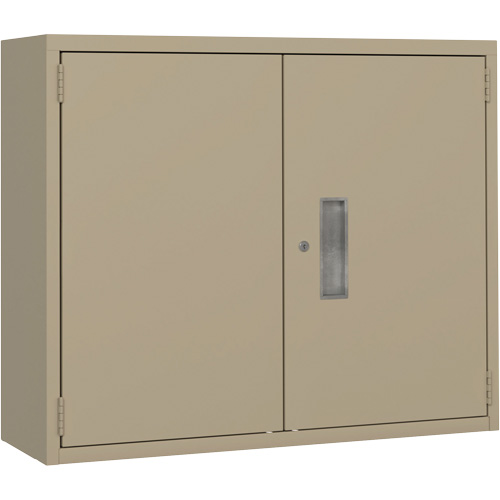 Wall Mounted Cabinet, Height, 30", Width, 36", Depth, 12", No. of Shelves, 2, Top Gauge, 20, Gauge, 22