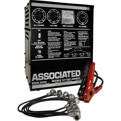 Multi-Battery Series Charger, Manufacturer's Warranty, 1 Year Limited, DC Output, 6 A, 106 V