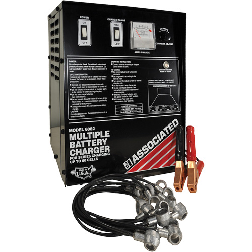 Multi-Battery Series Charger, Manufacturer's Warranty, 1 Year Limited, DC Output, 6 A, 0-158 V
