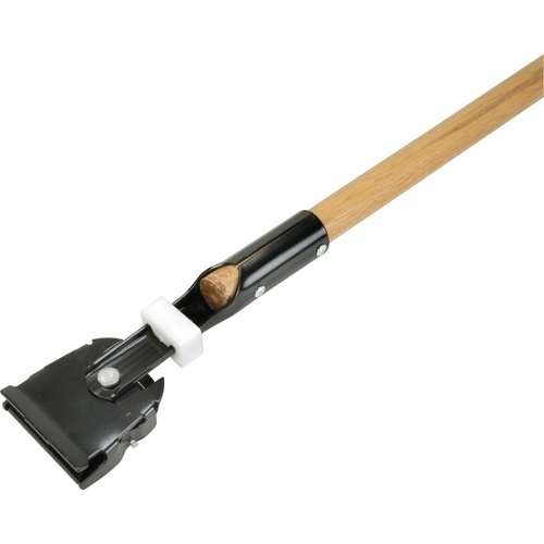 NC786