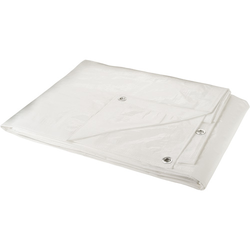 Tarp, Each, 10' x 8', Thickness, 6 mils, Material, Polyethylene, Colour, White, Type, 1 Year Limited