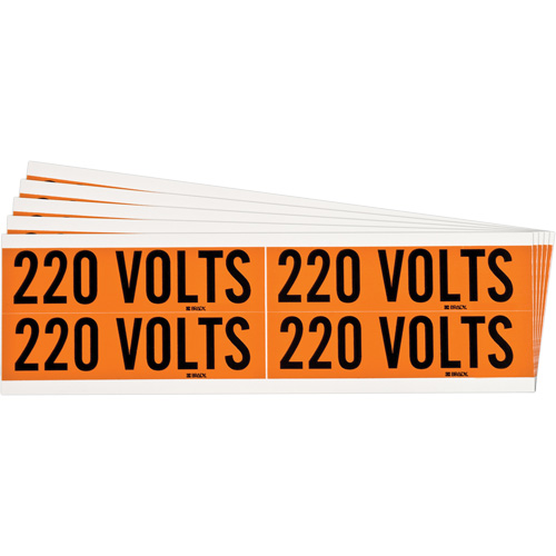 "220 Volts" Conduit & Voltage Labels, Pack of 5, Vinyl/Cloth, Height, 1-1/8", Width, 4-1/8", Display Type, Adhesive, Language, Repositionable Rubber, Finish, Semi-Gloss, Colour