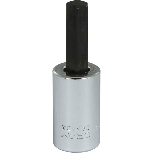 TYR231