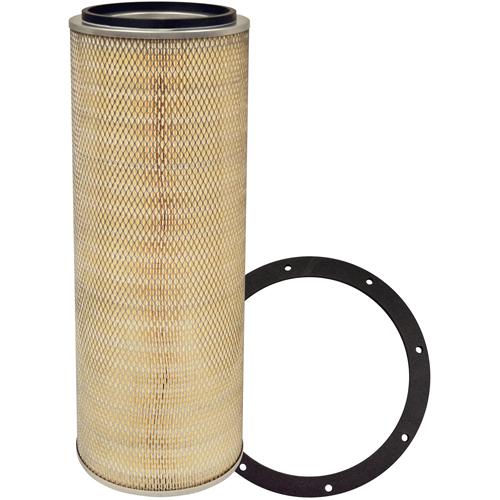 PA2493 Air Element