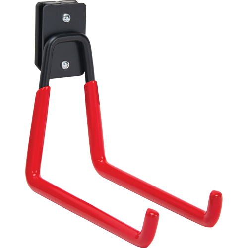 0.16 kg