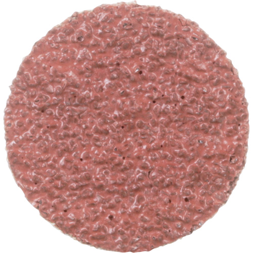 Standard Abrasives™ Quick-Change Disc