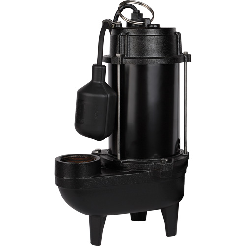 Cast Iron Effluent Pump, Motor, 3/4 HP, Max. Flow Rate, 5600 GPH, Voltage, 120 V, Amps, 10 A, Manufacturer's Warranty, 2 years, Power Cord, 20'