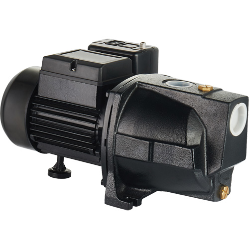 Dual Voltage Cast Iron Shallow Well Jet Pump, Motor, 1 HP, Max. Flow Rate, 1100 GPH, Voltage, 115 V/230 V, Suction Head, 164', Manufacturer's Warranty, 2 years, Discharge Diameter, 1" NPT
