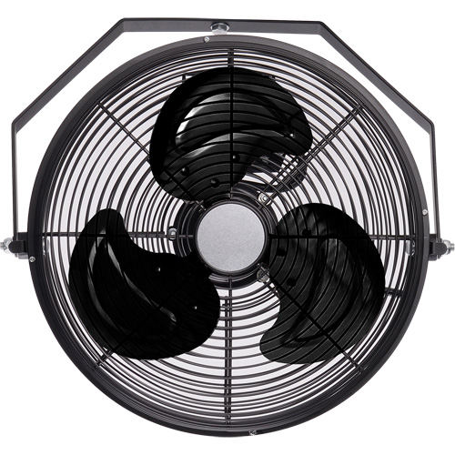 Industrial Workstation Fan, Diameter, 12", No. of Speeds, 3, CFM, 2600, HP, 1/12