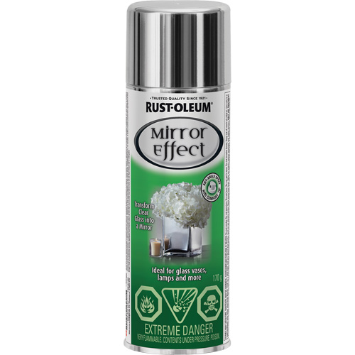 Specialty Mirror Effect Spray Paint, Container Type, Aerosol Can, Colour Family, Silver/Aluminum, Colour, Silver, Container Size, 170 g
