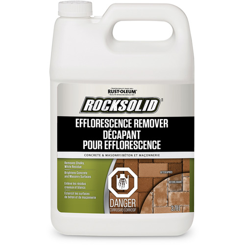 RockSolid® Efflorescence Remover, Container Type, Jug, Container Size, 3.78 L