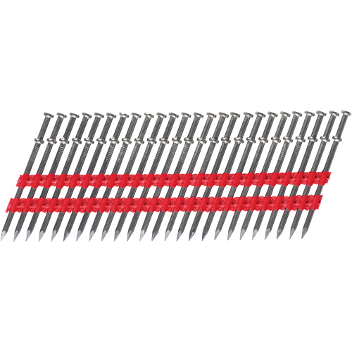 8D Collated Duplex Nails, Length, 2-7/8", Diameter, 0.131 mm, Shank Type, Smooth, Finish, Stainless Steel, Weight, 0.25 lbs., Height, 6.25"