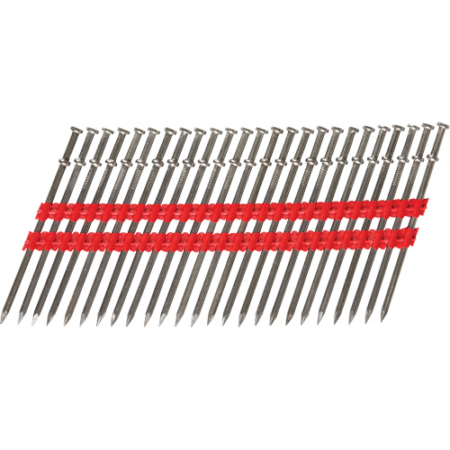 16D Collated Duplex Nails, Length, 3-5/8", Diameter, 0.131 mm, Shank Type, Smooth, Finish, Stainless Steel, Weight, 0.35 lbs., Height, 6.25"