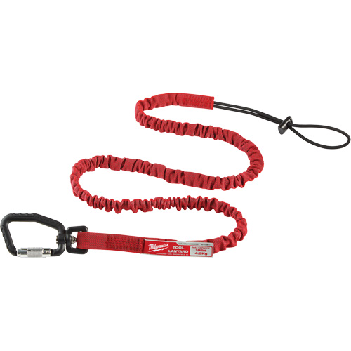 Extended Reach Locking Tool Lanyard, Style, Bungee, Connector Type, Carabiner/Loop, Load Rating, 10 lbs., Length, 54"