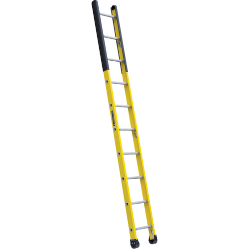 Single Manhole Ladder, Nominal Height, 10', Material, Fibreglass, Capacity, 375 lbs., Outside Width, 14.50"